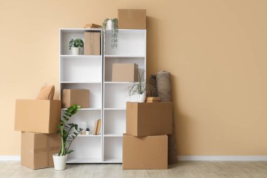 Odada bej duvarın yanındaki raflarda bitkiler ve kutular var.