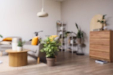 Oturma odası, kanepe, koltuk ve aletlerle bulanık görünüyor.