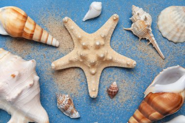 Mavi arka planda birçok deniz kabuğu, deniz yıldızı ve kum.
