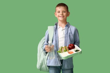 Yeşil arka planda beslenme çantası olan küçük okul çocuğu.