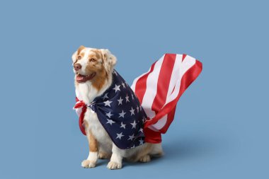 Mavi arka planda Amerikan bayrağı sallayan sevimli bir köpek. Bağımsızlık Günü kutlamaları