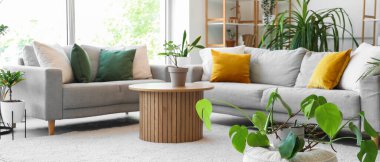 Yeşil bitkilerle, kanepelerle ve masalarla aydınlık oturma odasının içinde.