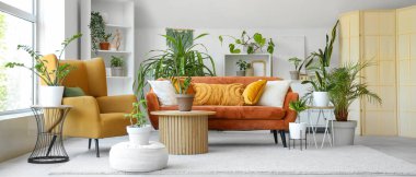 Yeşil çiçekleri, kanepesi ve koltuğu olan bir oturma odası.