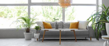 Yeşil çiçekleri, kanepesi ve penceresi olan aydınlık oturma odasının içinde.