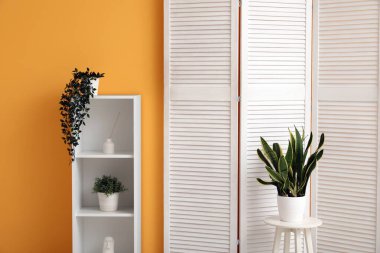 Odanın içinde katlanan ekran, raflama ünitesi ve sarı duvarın yanındaki bitkiler, yakın plan.