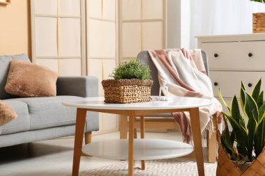 Oturma odasının iç tarafındaki sepetin üzerinde bitki var.