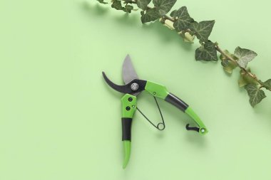 Yeşil arka planda sarmaşık dalı olan bahçıvan mezhepleri