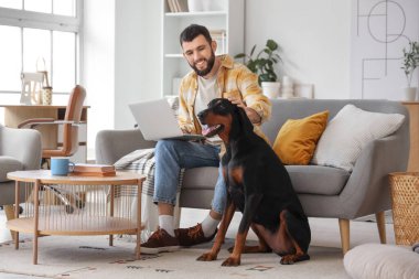 Dizüstü bilgisayarı olan genç bir adam ve evdeki kanepede oturan Dobermann köpeği.