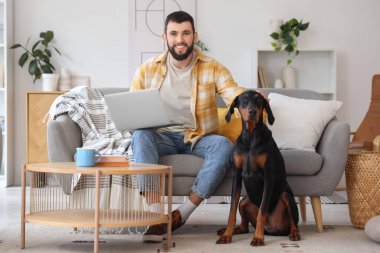 Dizüstü bilgisayarı olan genç bir adam ve evdeki kanepede oturan Dobermann köpeği.