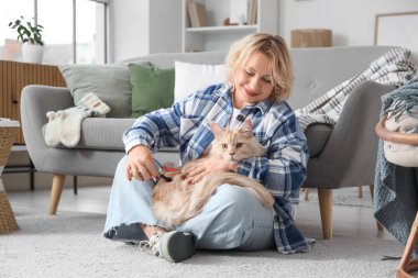 Güzel orta yaşlı bir kadın evde sevimli kedileri fırçalıyor.