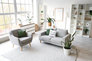 Gri kanepe, koltuk ve yeşil bitkilerle aydınlık oturma odasının içinde.