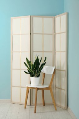 Sandalye, katlanan ekran ve odanın içindeki mavi duvarın yanındaki bitki örtüsü.