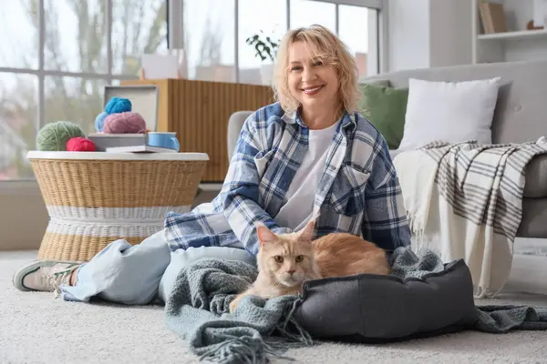 Evcil hayvan yatağında sevimli bir kedinin yanında oturan orta yaşlı güzel bir kadın.