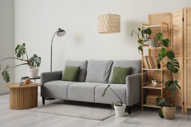 Gri kanepe, raf ünitesi ve oturma odasının iç tarafındaki saksılar.