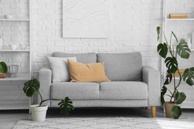 Gri kanepe, raf üniteleri ve Monstera bitkileriyle oturma odasının içinde.