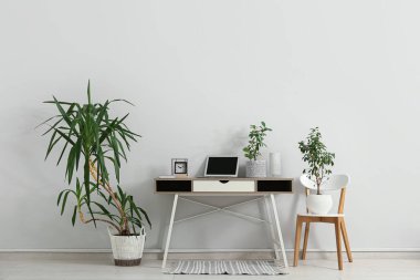 Ofiste dizüstü bilgisayarı ve ışık duvarı yakınında bitkileri olan bir işyeri