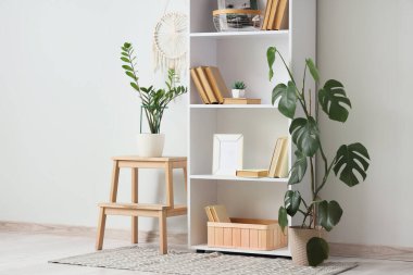 Kitaplık ve tabure. Odada ışık duvarının yanında bitkiler var.