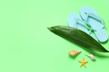 Plaj terlikleri, deniz kabukları ve yeşil arka planda yeşil yaprak.