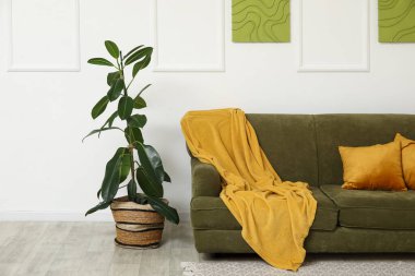 Oturma odasının iç tarafında rahat bir kanepe ve çiçek var.