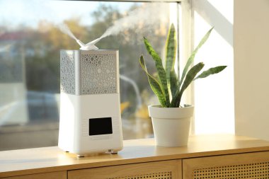 Odanın penceresinin yanındaki tuvalette bitki bulunan modern hava nemlendirici.