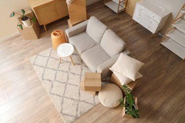 Gri kanepe ve karton kutularla dolu oturma odasının içi.