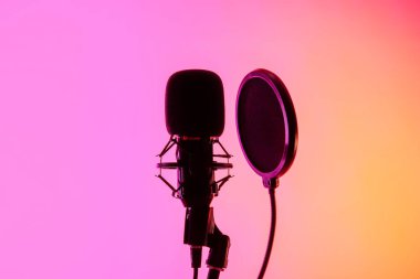 Renkli arka planda profesyonel mikrofonun yanında dur