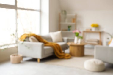 Gri kanepeler, raf ünitesi ve bitkilerle aydınlık oturma odasının bulanık görüntüsü