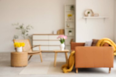 Kahverengi kanepe, koltuk ve vazolardaki bahar çiçekleriyle aydınlık oturma odasının bulanık görüntüsü