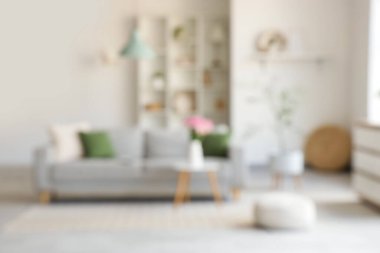 Gri kanepe, raf ünitesi ve bitkilerle aydınlık oturma odasını bulanık görmek