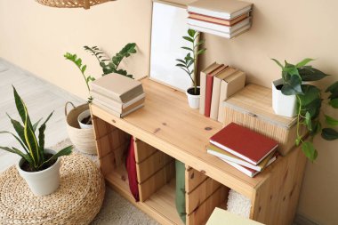 Odadaki raflarda bitkileri ve çerçeveleri olan kitaplar.