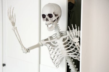 Evdeki dolapta insan iskeleti modeli