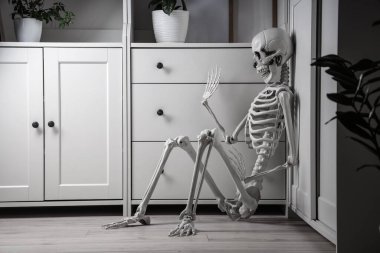 Dolabın yanında oturan insan iskeleti modeli.