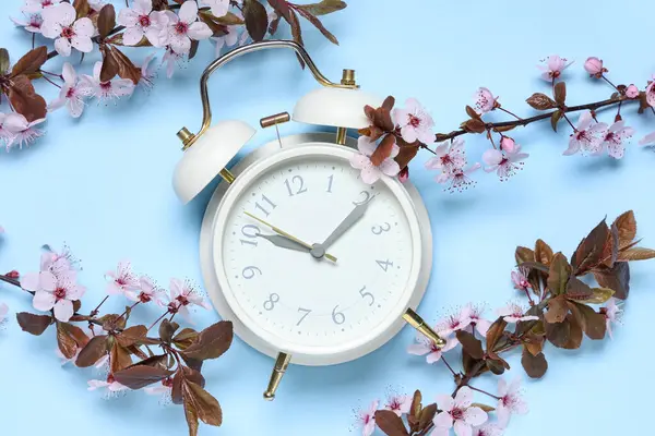 Alarm saati ve mavi arka planda çiçek açan dallar. Bahar geldi.