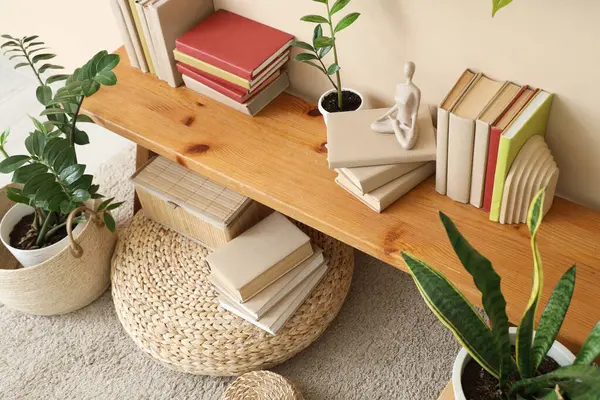 Biblolu kitaplar ve odasındaki ahşap bankta bitkiler.