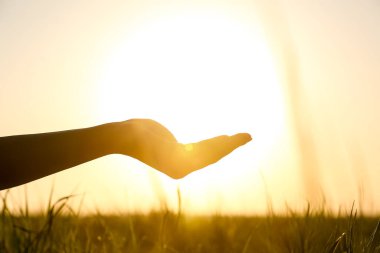 Gün batımında güneşi tutan kadın eli silueti. Yaz gündönümü