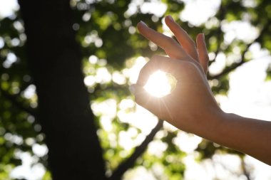 Kadın eli gün batımında parkta iyi görünüyor. Yaz gündönümü