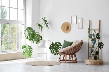 İçinde Monstera bitkileri, koltuk ve merdiven olan bir oturma odası.