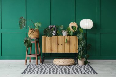 Monstera bitkileri, klozet ve lambayla oturma odasının içinde.