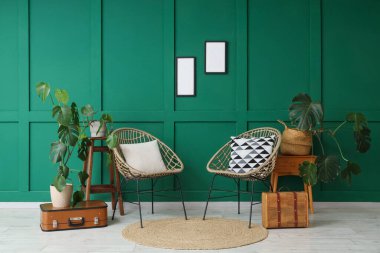 Monstera bitkileri, koltuklar ve eski bavullarla dolu bir oturma odası.