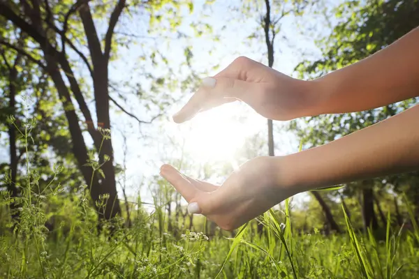 Gün batımında parkta güneşi tutan kadın eller. Yaz gündönümü