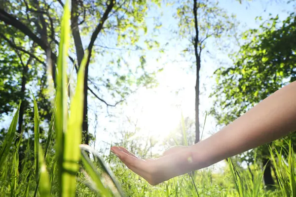 Gün batımında parkta güneşi tutan bir kadın. Yaz gündönümü