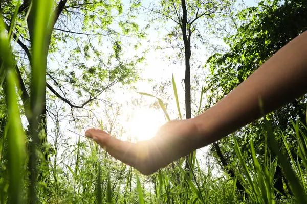 Gün batımında parkta güneşi tutan bir kadın. Yaz gündönümü