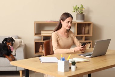 Sevimli Doberman köpeği kanepede yatıyor ve güzel, mutlu bir kadın evde dizüstü bilgisayarla çalışıyor.