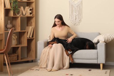Tatlı Doberman köpeği ve evdeki kanepede oturan genç ve güzel bir kadın.