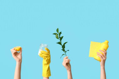 Mavi arka planda deterjan şişeleri, bez ve bitki dalları olan kadın eller.