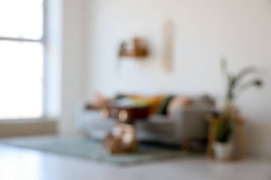 Oturma odası, kanepe, antika bavullar ve bitkilerle bulanık görünüyor.