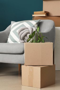 Taşındığı gün mavi duvarın yanında karton kutular olan koltuklar.