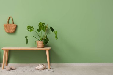 Koridorun iç tarafındaki yeşil duvarın yanındaki bank ve bitkiler.