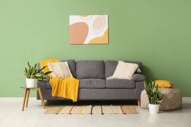Sansevieria bitkileri, kanepe ve yeşil duvarın yanındaki masa.