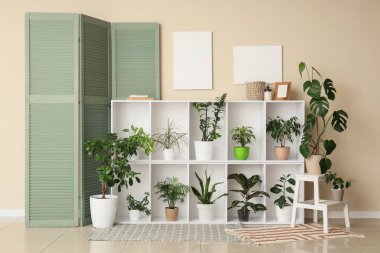 Raflama ünitesi, katlanan ekran ve odanın iç tarafındaki bej duvarın yanındaki ev bitkileri.